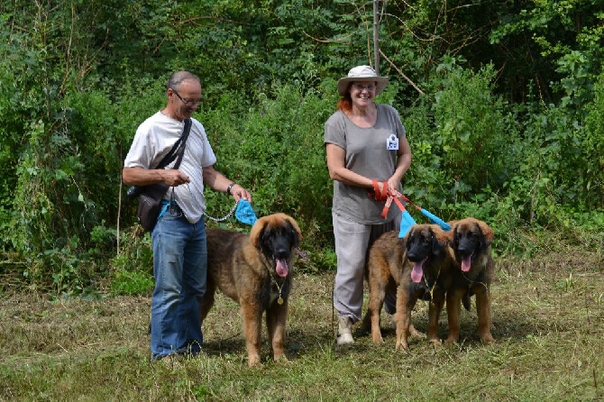 Du Domaine Des Mignons - Photos entre frère et soeurs