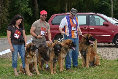 Du Domaine Des Mignons - Photo de Famille