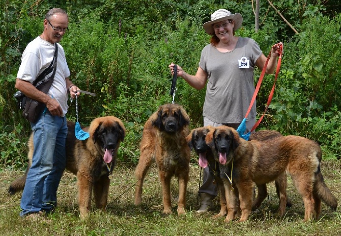 Du Domaine Des Mignons - Photo de famille