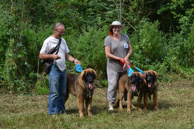 Du Domaine Des Mignons - Photos entre frère et soeurs